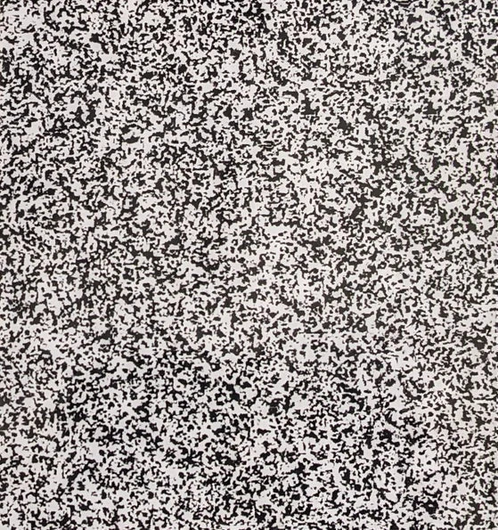 Black-and-white speckled abstract texture.