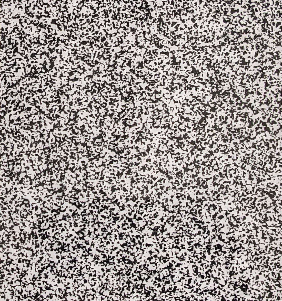 Black-and-white speckled abstract texture.