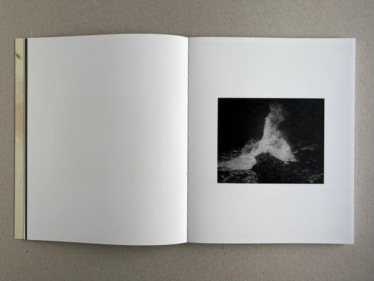 At Night Gardens Grow — Pia-Paulina Guilmoth
