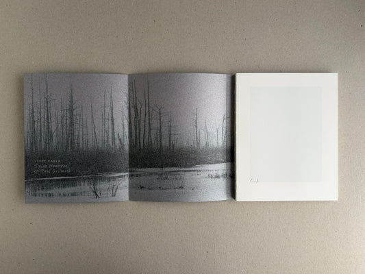 Sleep Creek – Dylan Hausthor & Pia Paulina Guilmoth