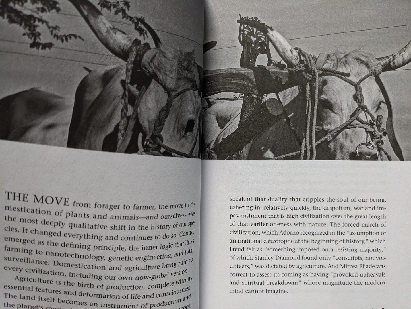 Interior page from A People’s History of Civilization – oxen imagery and critique of domestication and agriculture