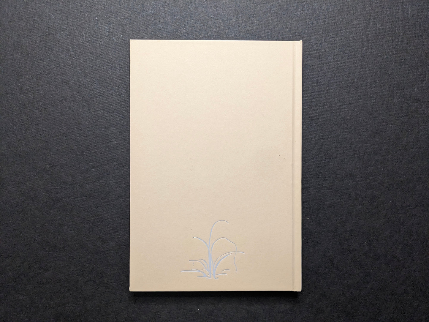 Back cover of A Season Particular by Shen Wei, beige board with a small embossed plant motif.