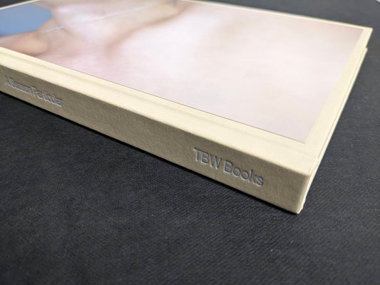 Spine of A Season Particular by Shen Wei, beige cloth binding with title imprint.