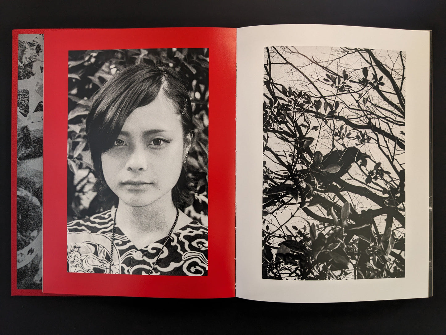 Portrait of a young woman on red paper followed by tree branches.