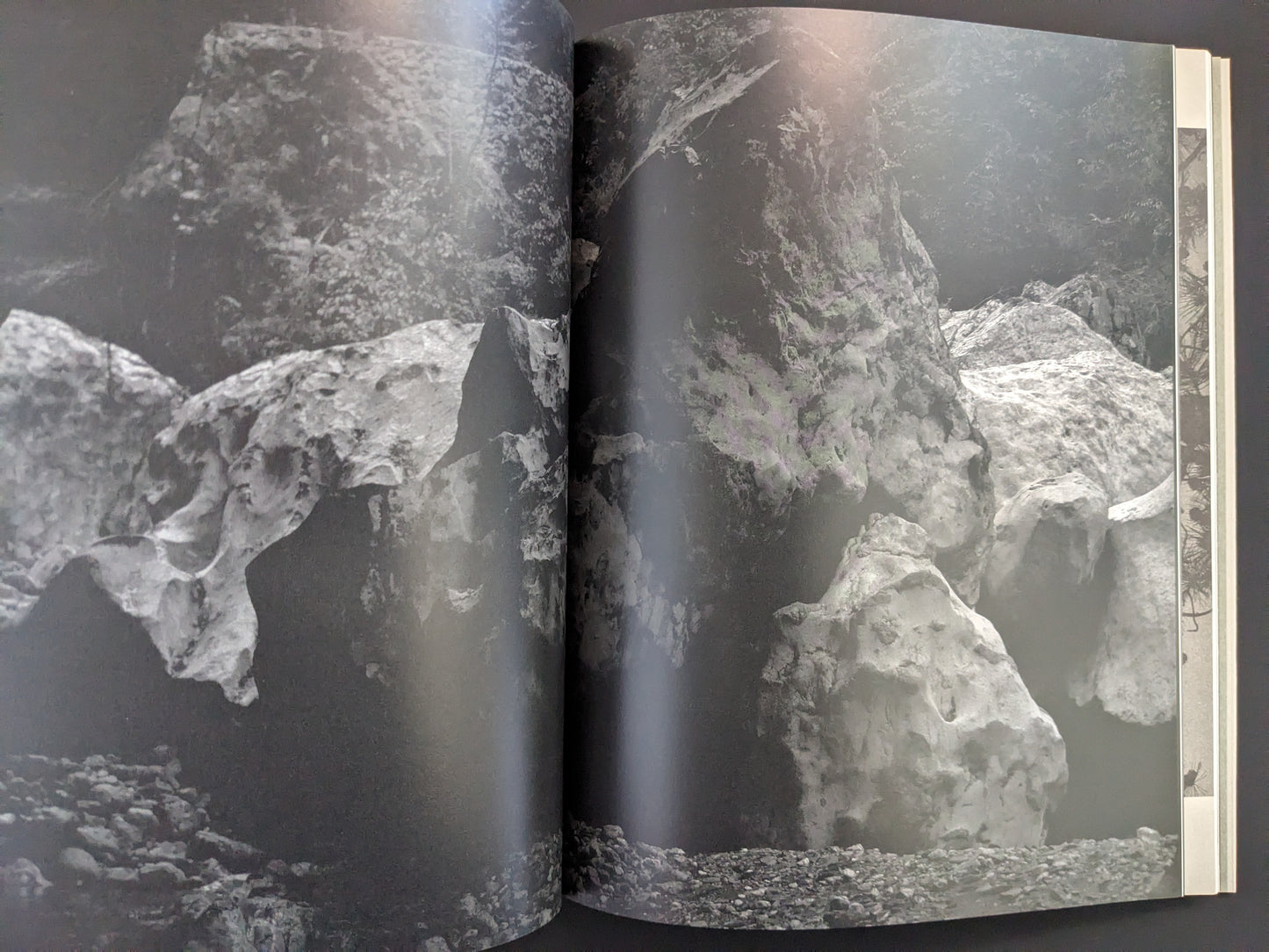 Photograph from Ash (New Edition) by Muge, dark-toned image of rocks and forest shadows.