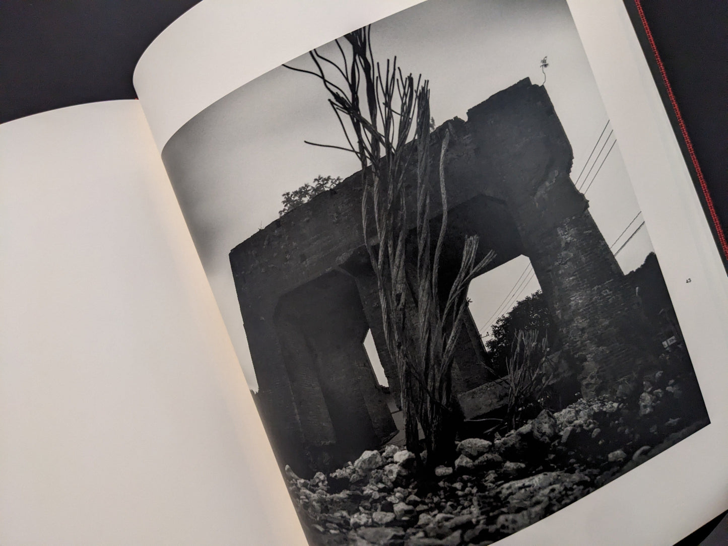 Ruins of a destroyed coal mining building with vegetation, from Berg Werk by Sincei Yamamoto