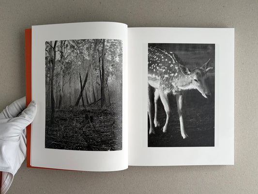 Open spread of between the skin and sea by Katrin Koenning, showing a black-and-white forest photograph on the left and a black-and-white deer image on the right.