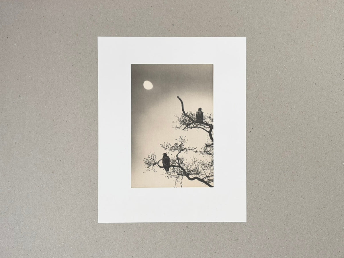 Birds 2 by Masao Yamamoto, a loose collotype print shown on a grey surface.