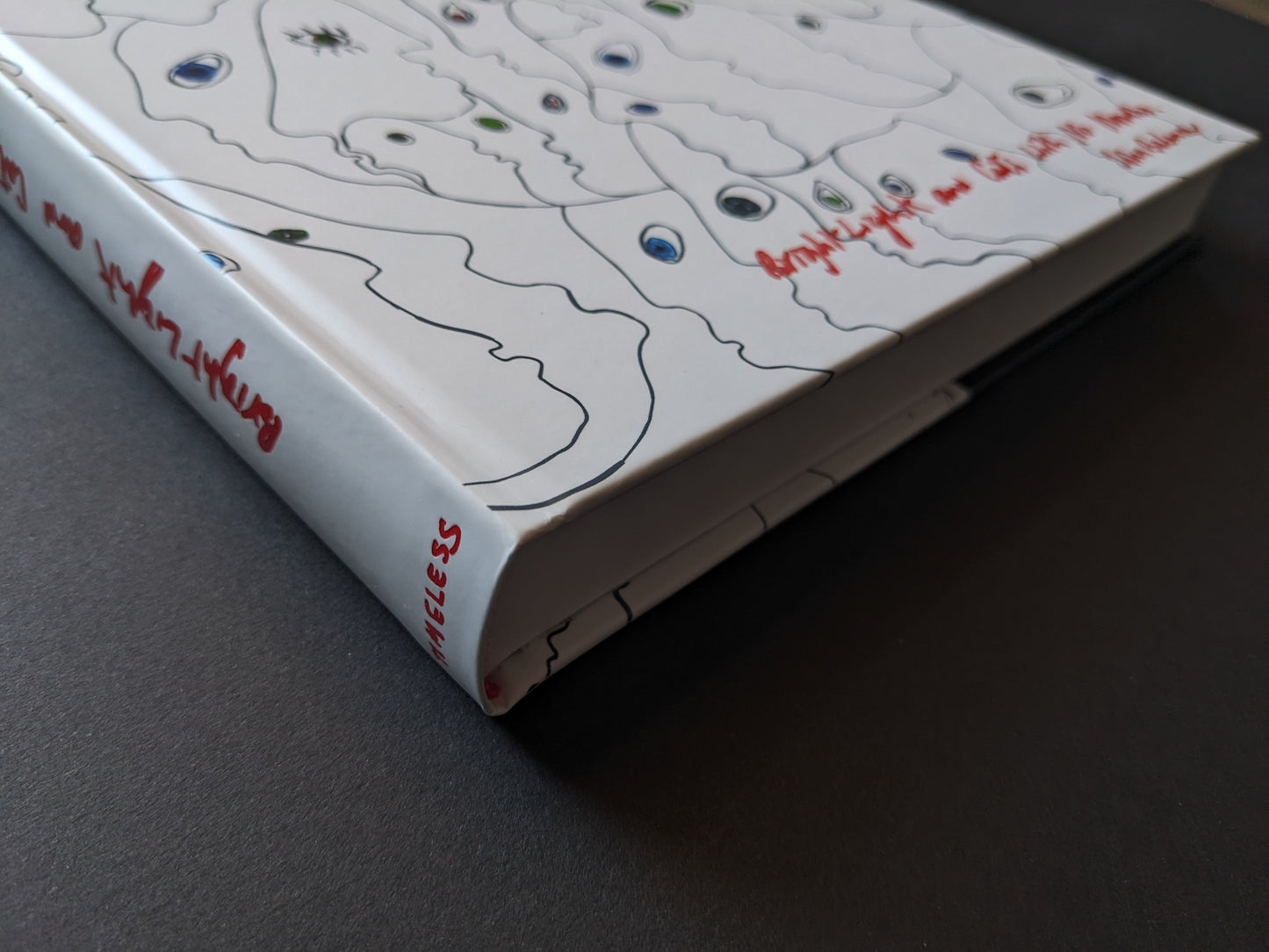 Close-up of book spine showing the title Bright Lights and Cats with No Mouths