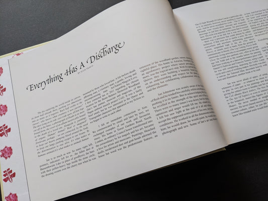 Essay “Everything Has A Discharge” by Julie Travis