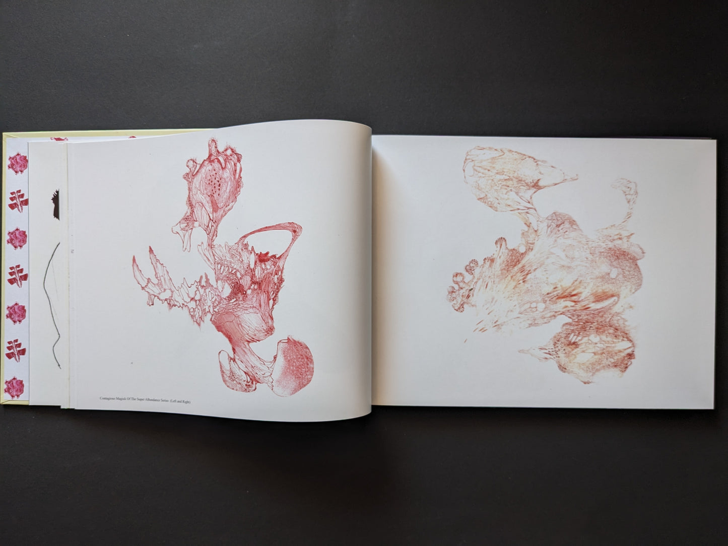 Anatomical red ink drawings