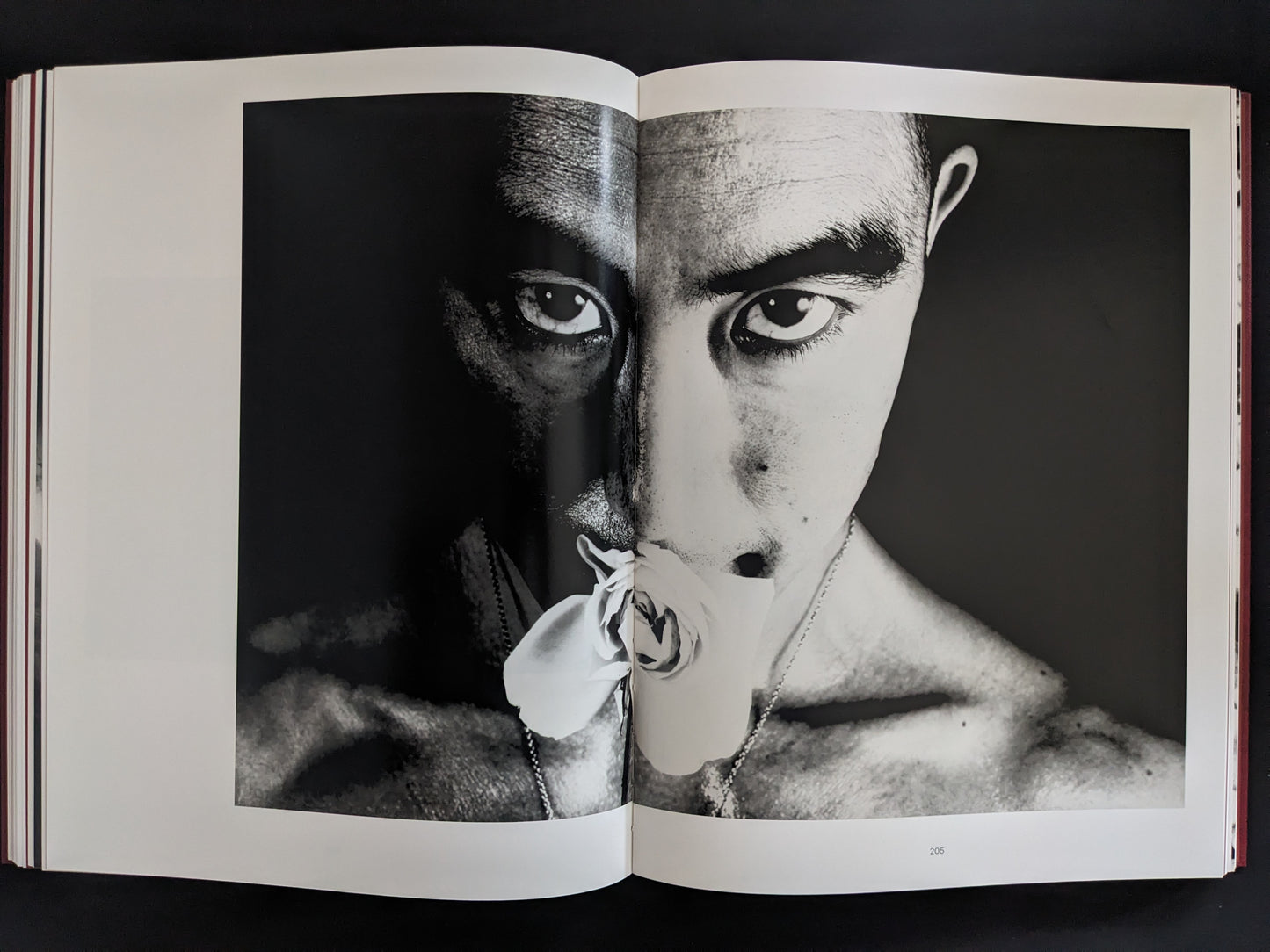 Close-up black-and-white portrait of Yukio Mishima holding a flower in his mouth, by Eikoh Hosoe.