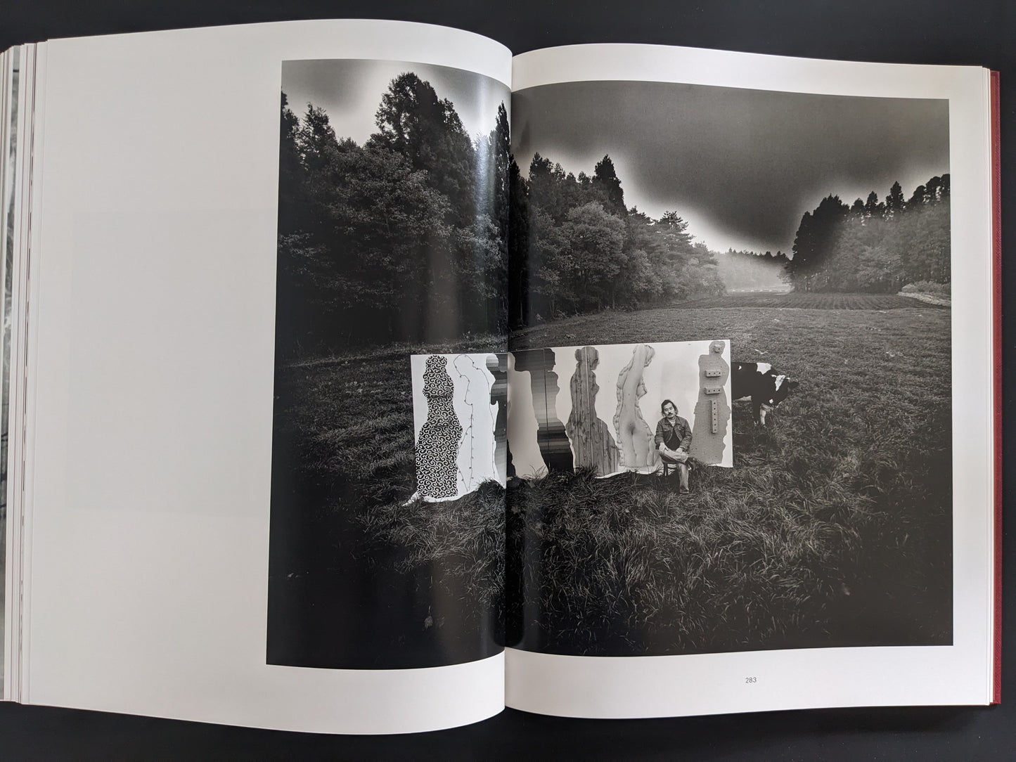 Black-and-white landscape photograph with inserted cut-outs of dress forms and a seated figure in a meadow.