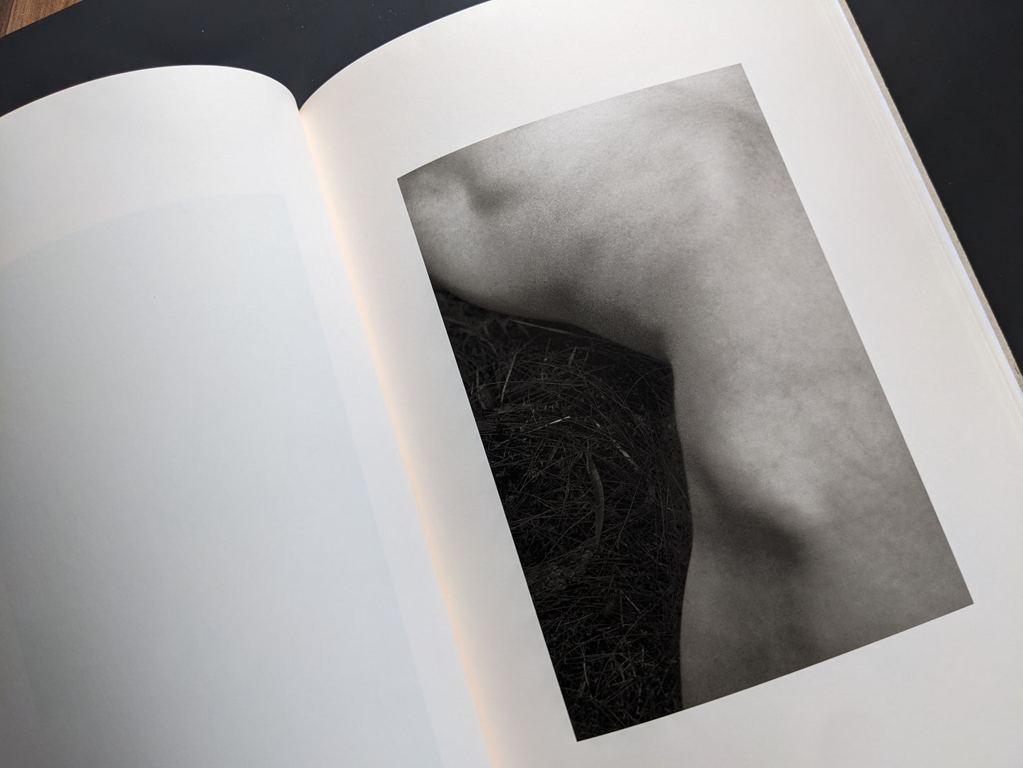 Fragment of a body in grass from ELV by Massimo Leardini