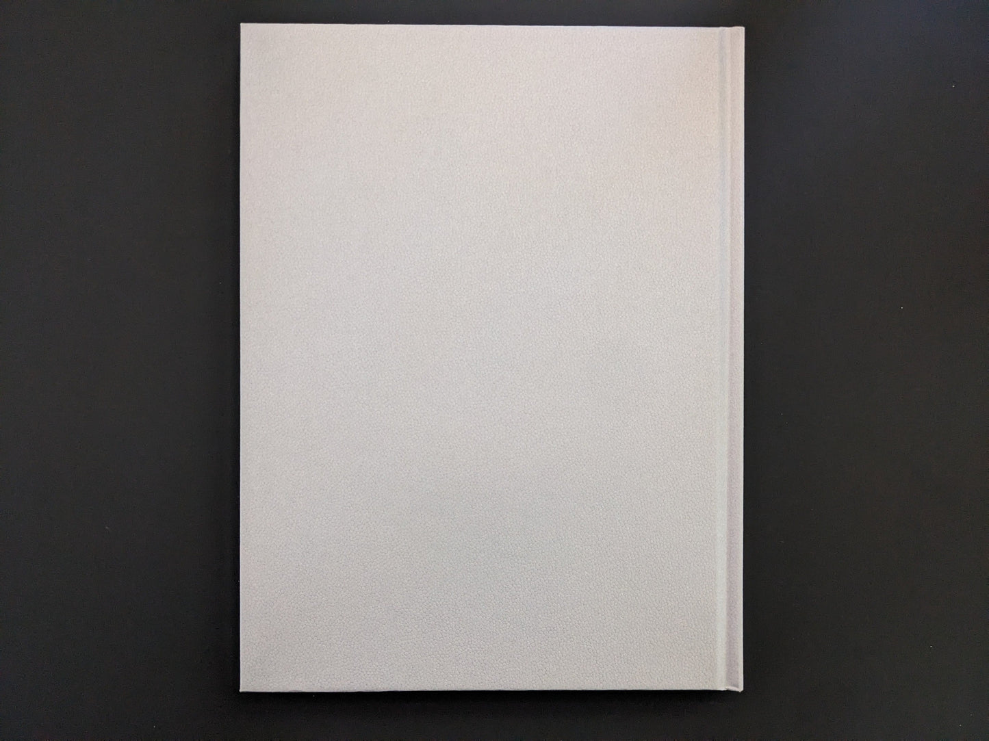 Back cover of Eros Lost by Seiji Kurata, embossed hardcover from Zen Foto Gallery.