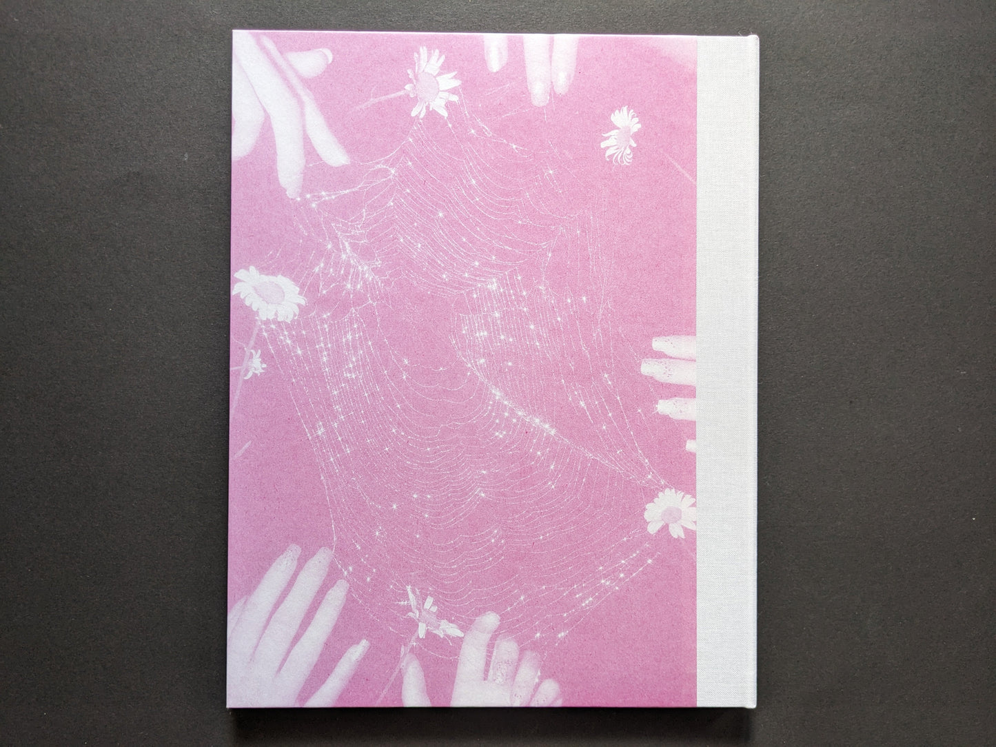 Back cover of "Flowers Drink the River" by Pia‑Paulina Guilmoth, showing subtle spiderweb embossing on pink craft paper with cloth spine