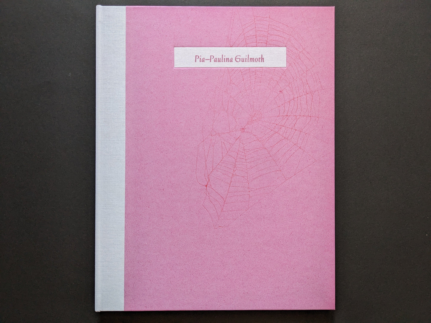 Front cover of "Flowers Drink the River" by Pia‑Paulina Guilmoth, featuring a delicate spiderweb design on pink paper