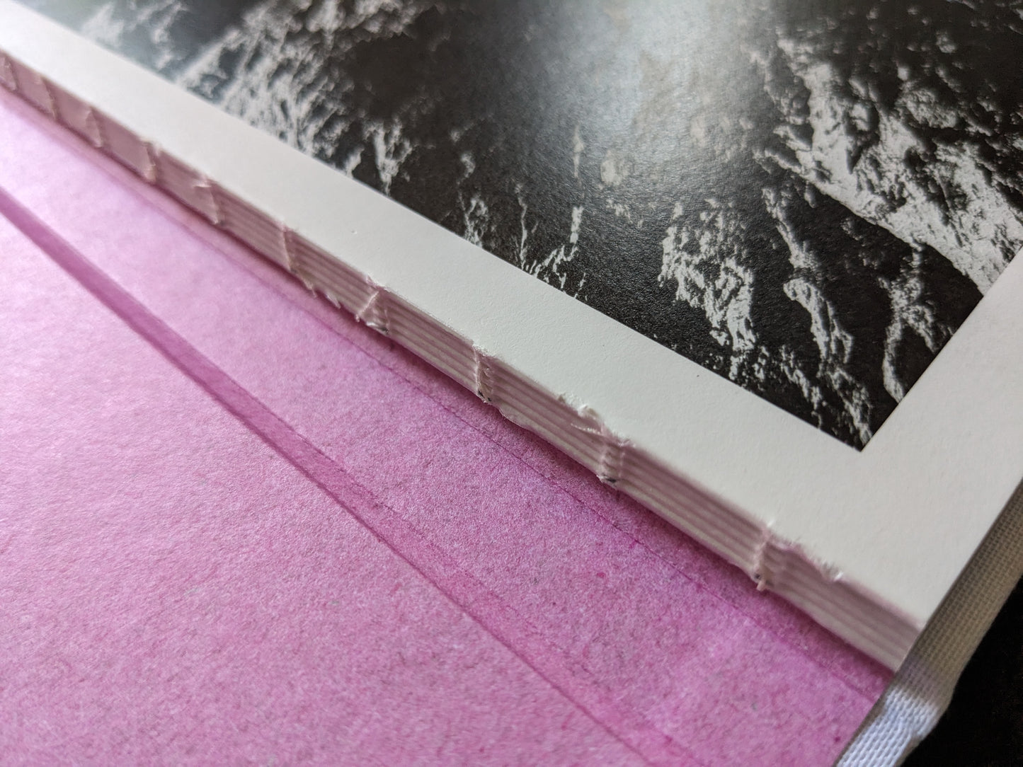 Close-up view of exposed Swiss-bound spine with visible stitching in the book "Flowers Drink the River" by Pia‑Paulina Guilmoth.
