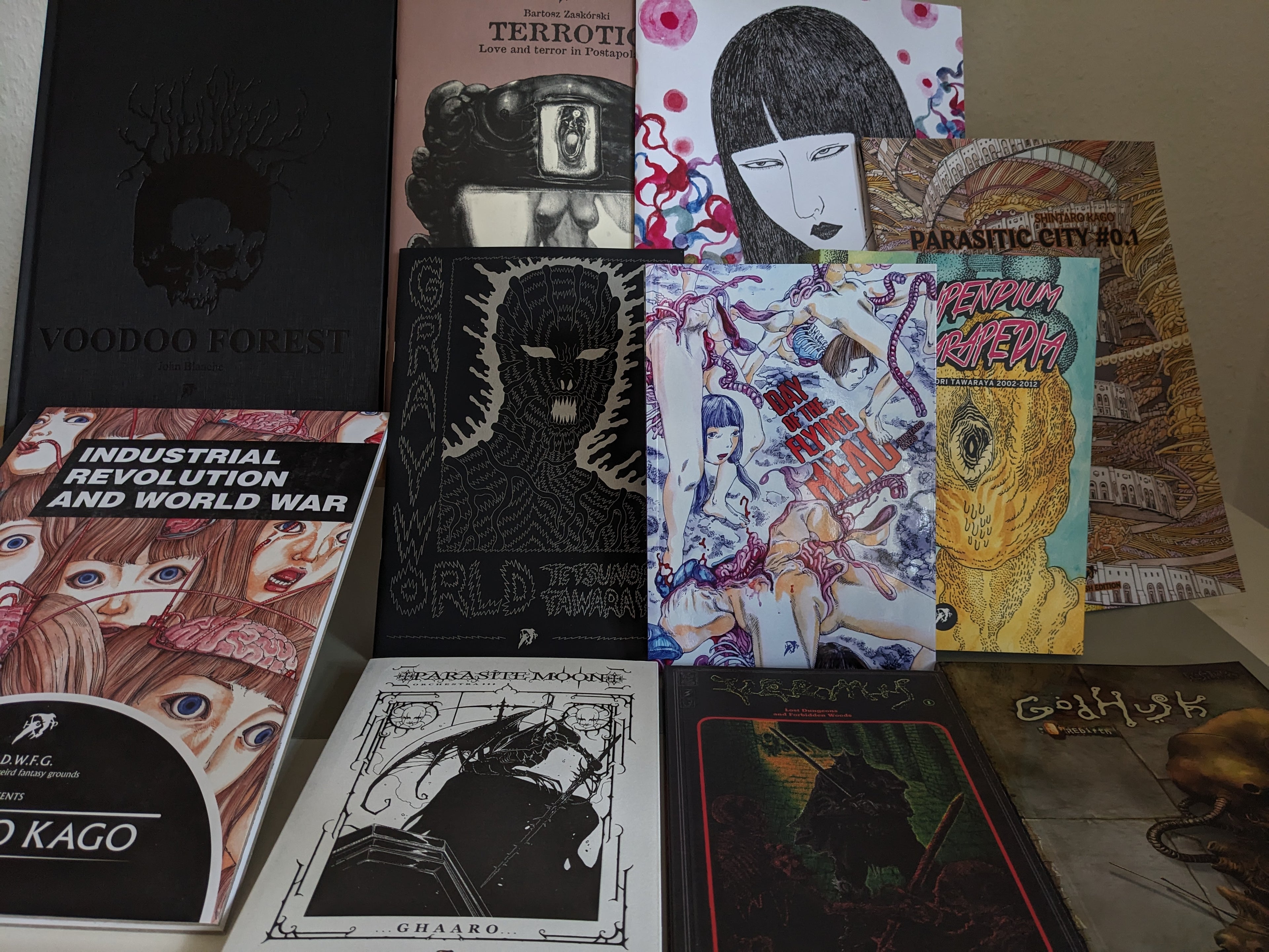"Books from Hollow Press: selection of underground comics and dark fantasy publications including works by Shintaro Kago, Tetsunori Tawaraya, Bartosz Zaskòrski, John Blanche, Ghaaro and others, displayed standing and laying on a surface."