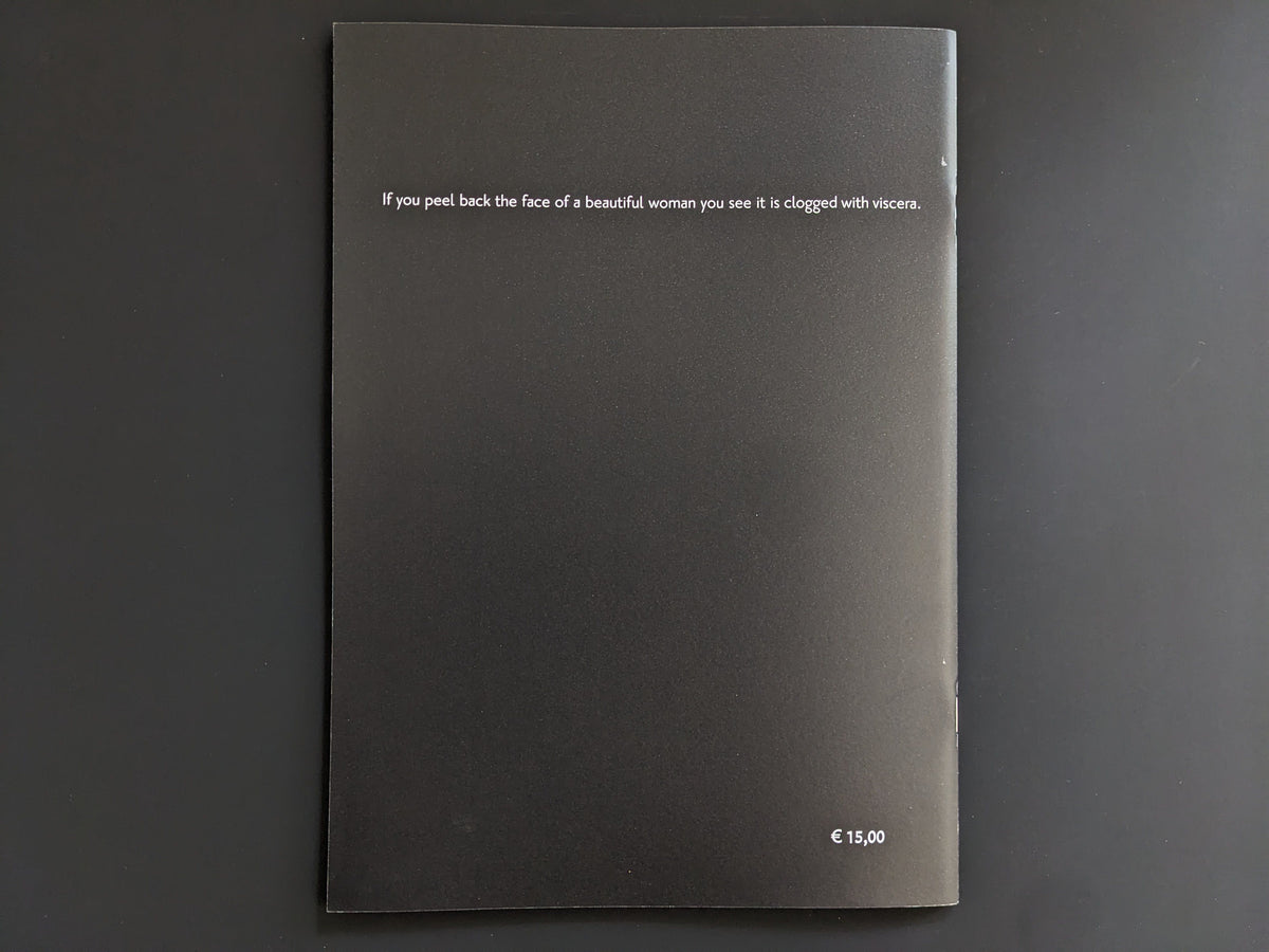 Back cover of 'Hospital Train' by Daisuke Ichiba with a quote and price.