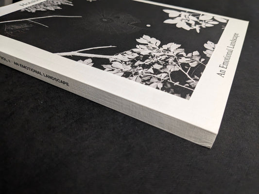 Spine view of Hotshoe Issue 209: An Emotional Landscape, marked Hotshoe International.