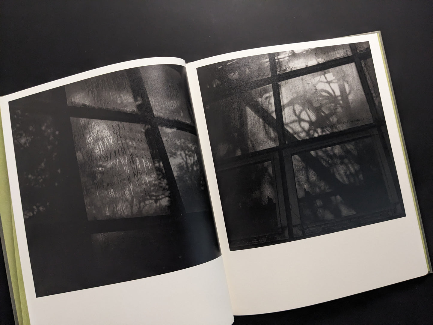 Dark monochrome image of condensation and plant shadows on greenhouse glass, from Im Treibhaus by Takeshi Shinoda.