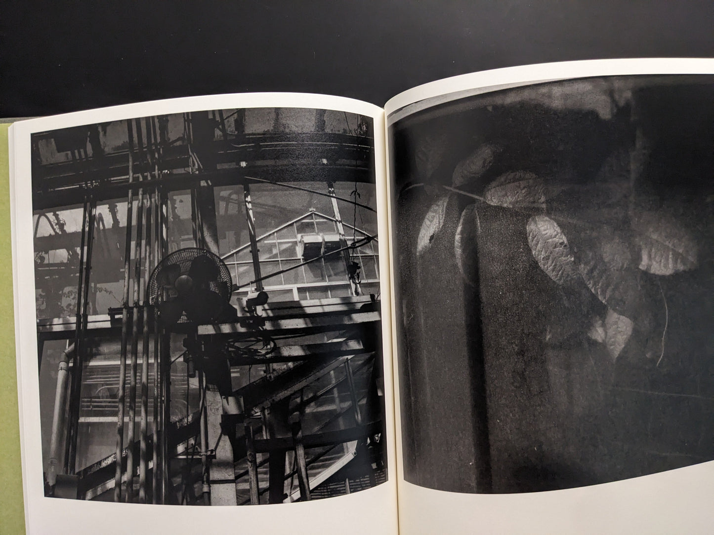 Photograph showing close-up of leaf texture and industrial greenhouse fan, from Im Treibhaus by Takeshi Shinoda.