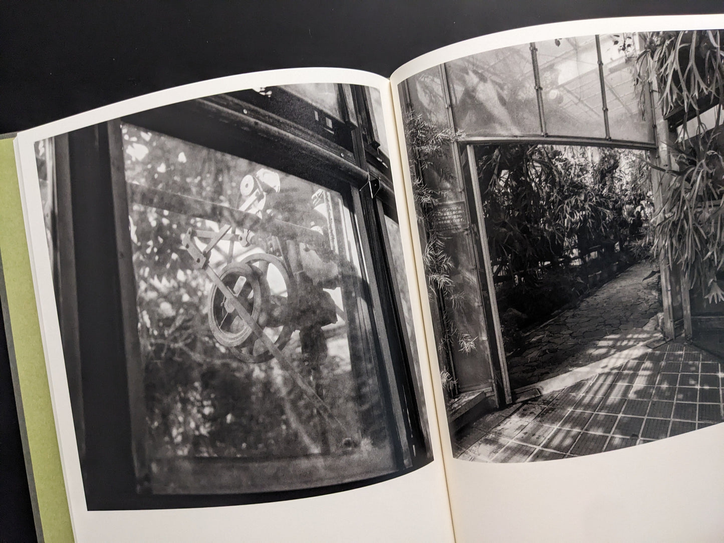 Mechanical structure and interior of a greenhouse captured in black and white by Takeshi Shinoda in Im Treibhaus.