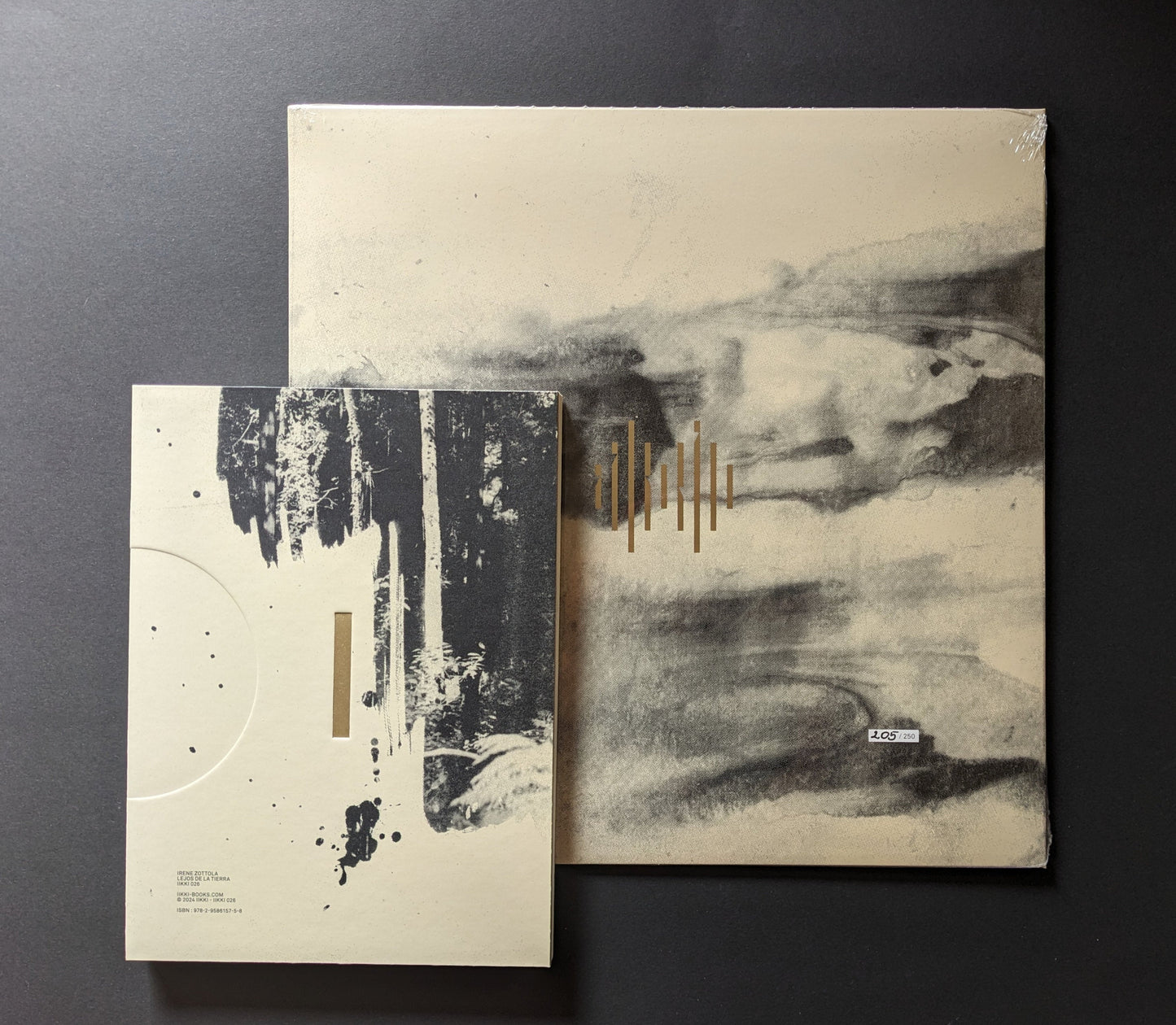 Front cover of Lejos De La Tierra with monochrome print and gold stamping - Irene Zottola & øjeRum - Lejos De La Tierra (Langt Fra Jorden) - Lokator100