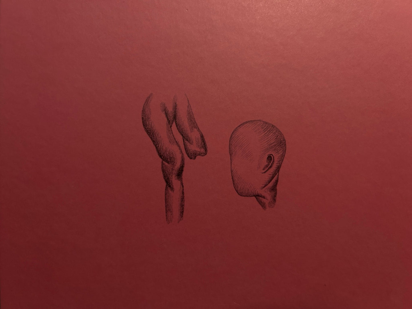 Ludovic Debeurme - Terra Maxima - Éditions Cornélius - Lokator100