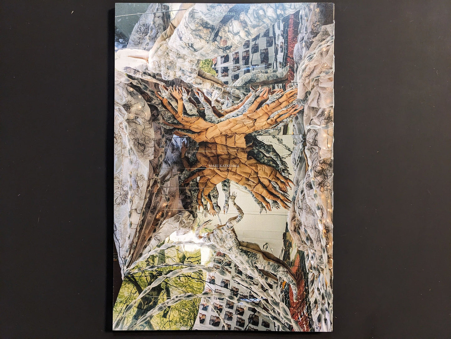 Back cover of Synthesis by Mari Katayama showing installation detail from the Tree of Life series.
