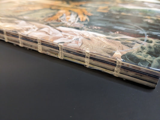 Exposed spine binding of Synthesis by Mari Katayama, MACK Books 2025 edition, showing thread-bound signatures.