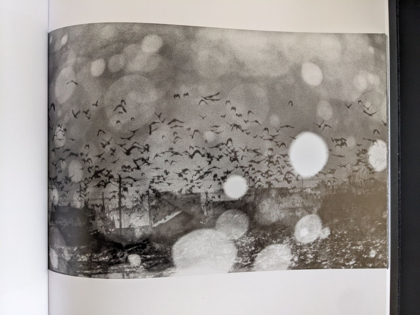 Atmospheric black-and-white image of a large flock of birds over a bleak urban landscape.