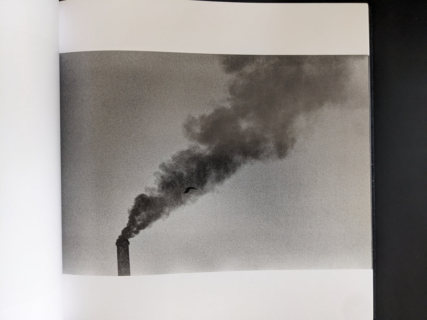 Raven flying near industrial smokestack with dense plume of smoke.