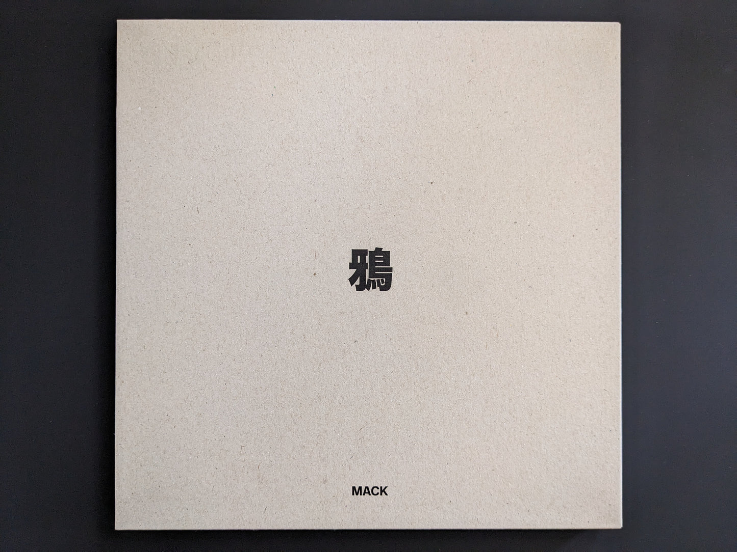 Back of the slipcase of "Ravens" showing minimalist cardboard design.