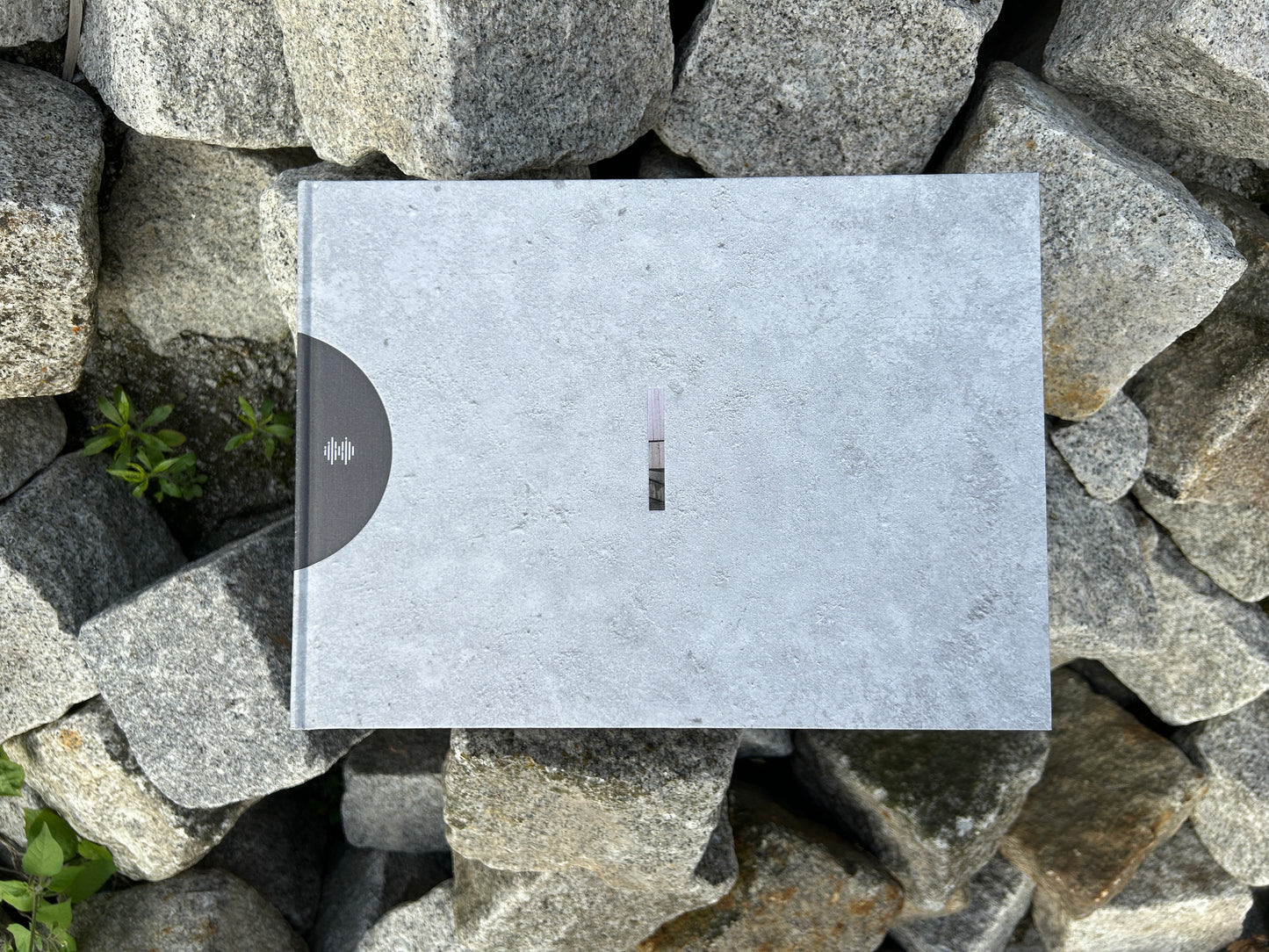 Cover of the book 'Alveare' by Matthias Heiderich and Andrea Belfi photographed on a stone background - IIKKI - Lokator100