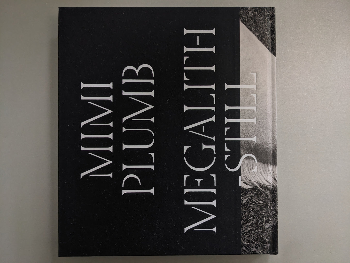 Back cover of Megalith-Still with wool paper texture and title typography