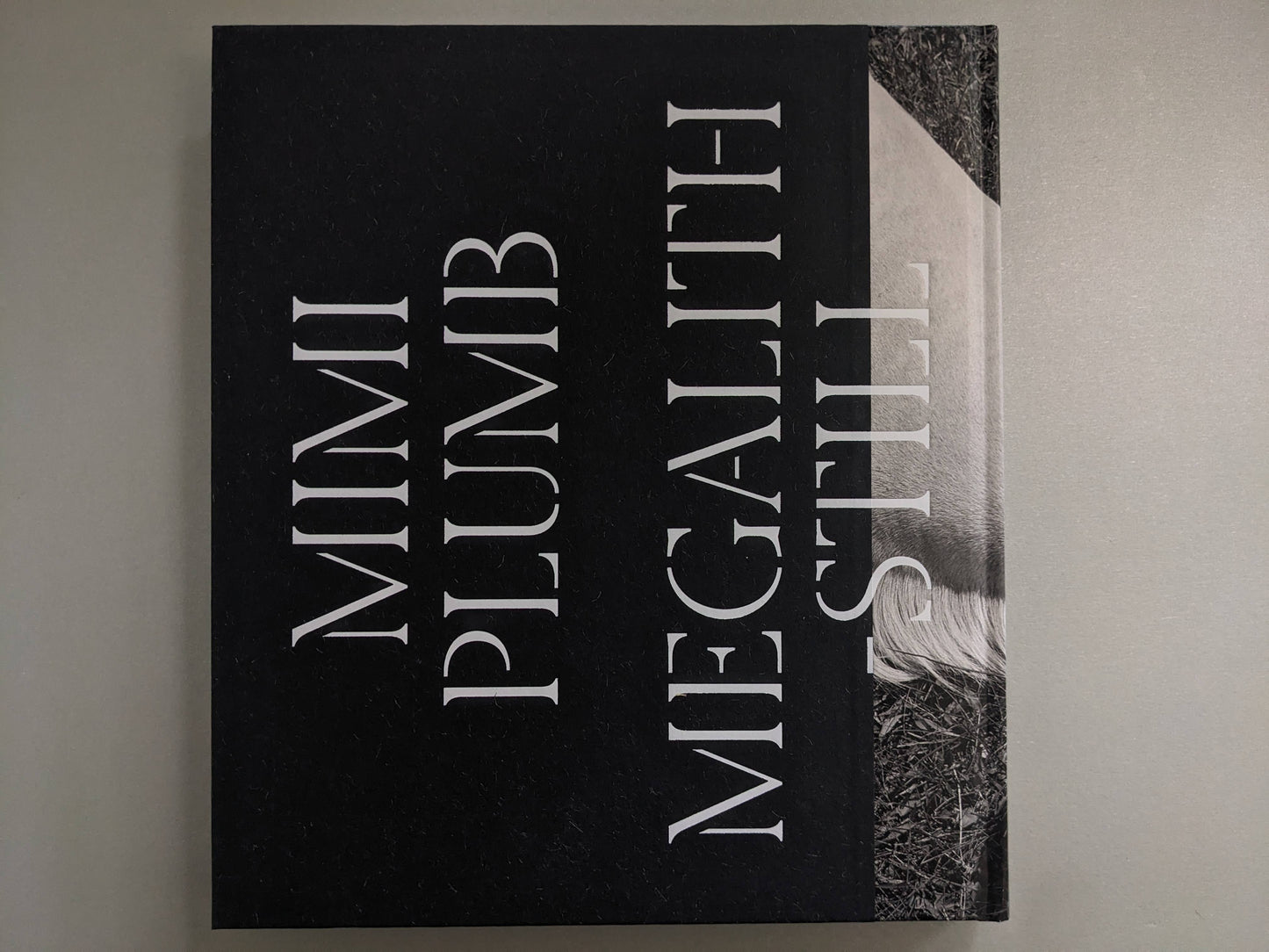 Back cover of Megalith-Still with wool paper texture and title typography