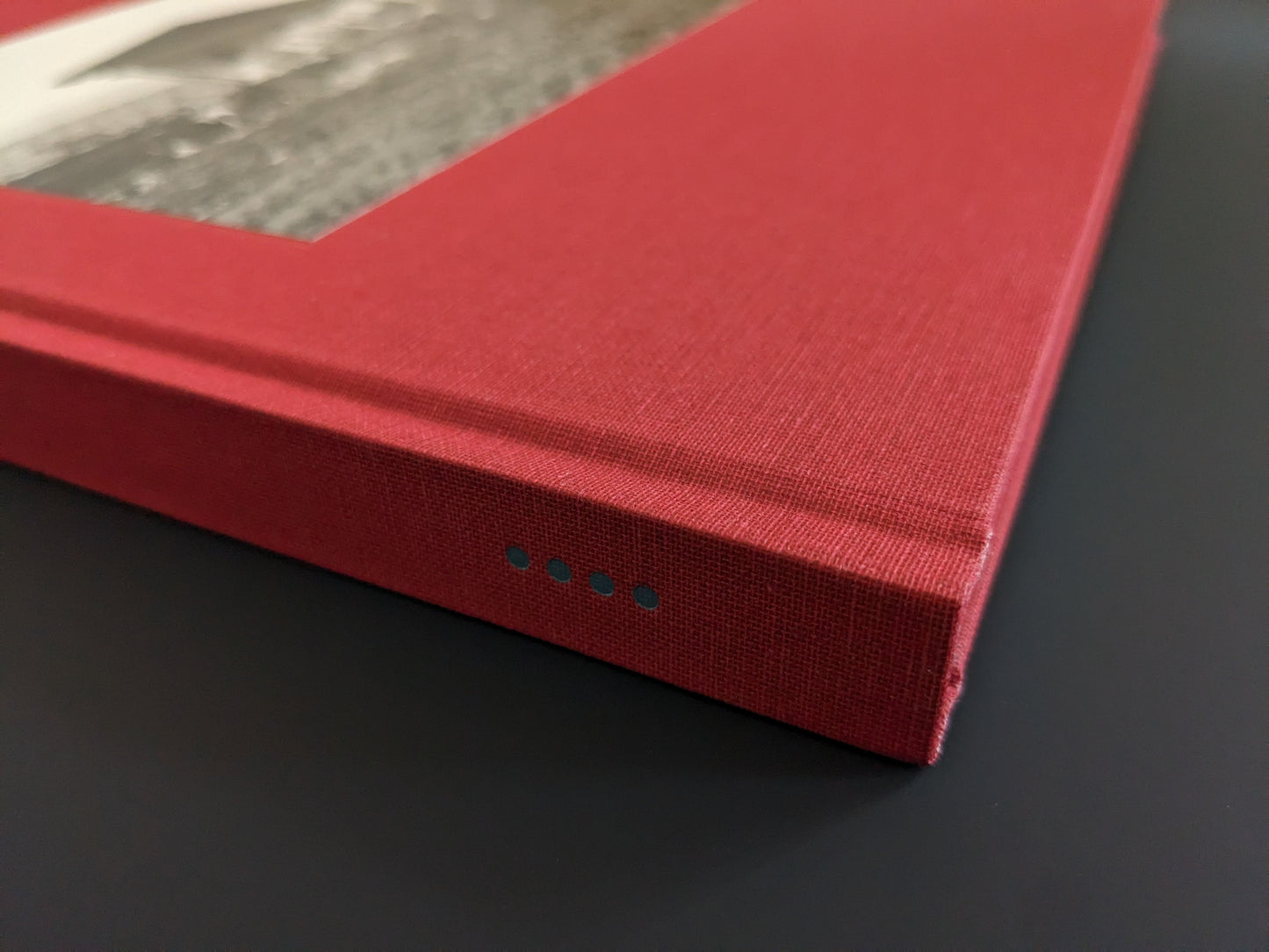Close-up of the spine with a blue dot design