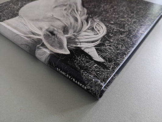 Book spine of Megalith-Still by Mimi Plumb published by Stanley/Barker