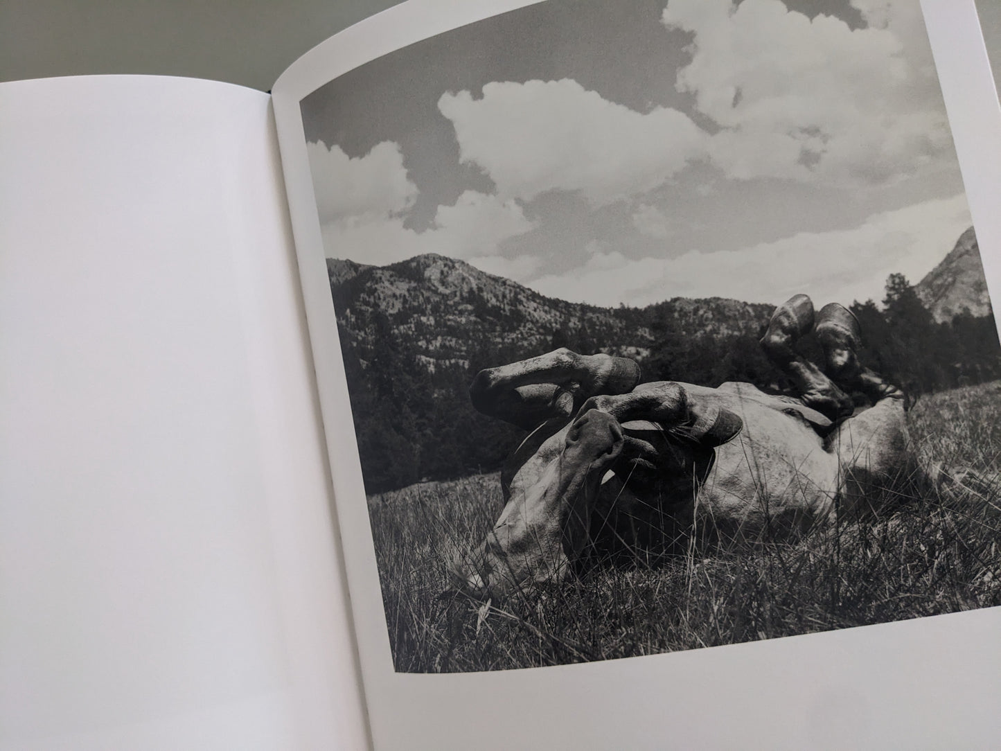 Photograph of a horse lying in a meadow surrounded by mountains, from Mimi Plumb’s book Megalith-Still.