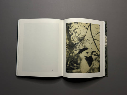 Night Procession (signed) by Stephen Gill, cover and spine view