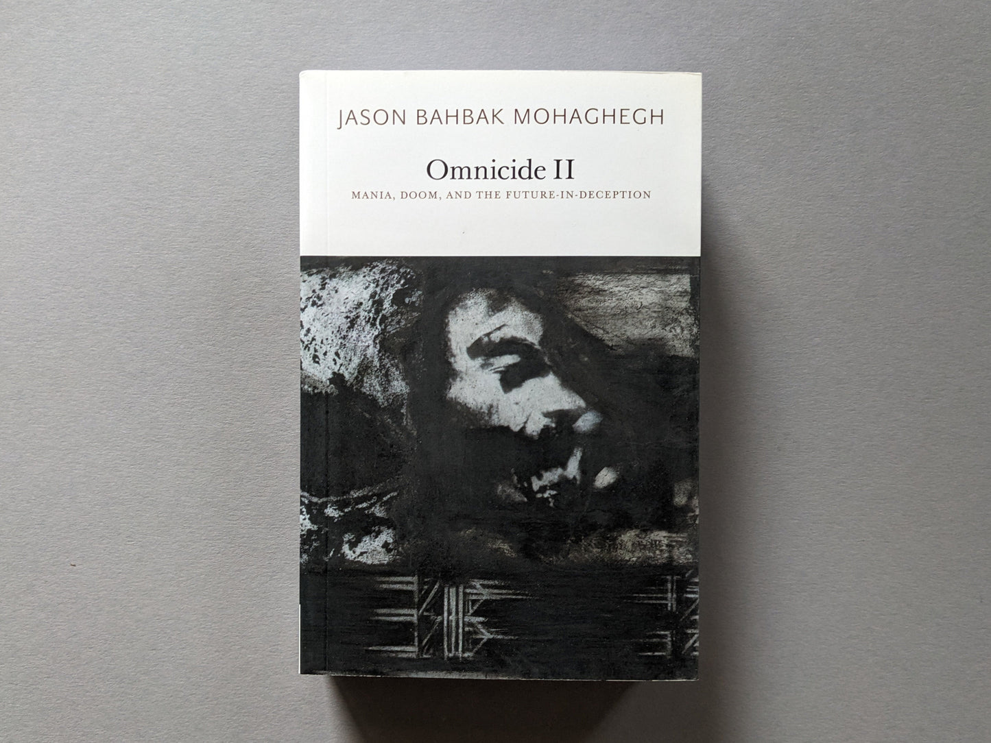 Front cover of Omnicide II by Jason Bahbak Mohaghegh, featuring a monochrome abstract painting.