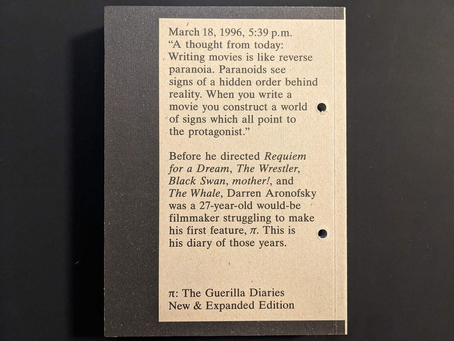 Back cover of Pi: The Guerilla Diaries showing synopsis and typographic layout.