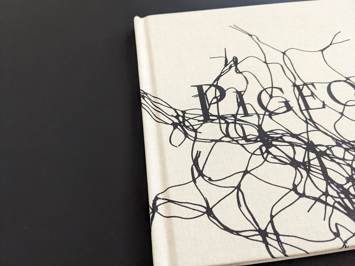 Close-up of the book spine showing light wear on the cloth binding of Pigeons by Stephen Gill
