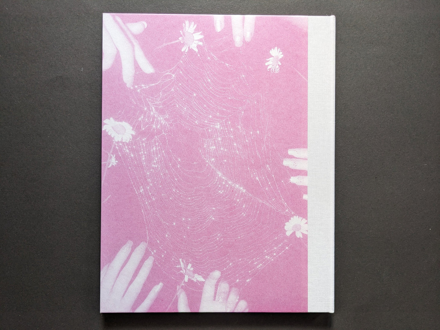 Back cover of Flowers Drink the River on pink paper with spiderweb embossing and a pale cloth spine.