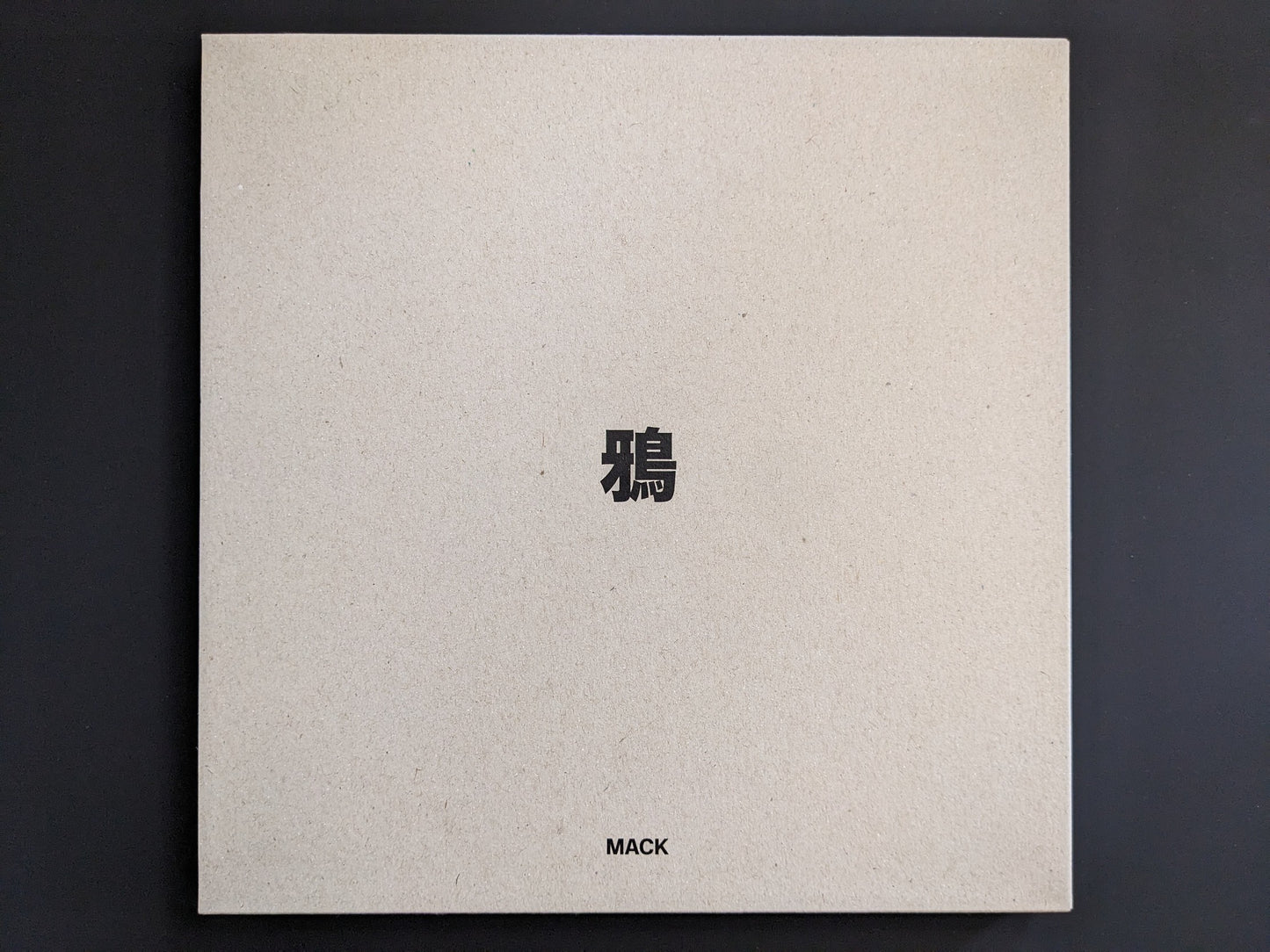 Back of the slipcase of Ravens showing a minimalist cardboard design.