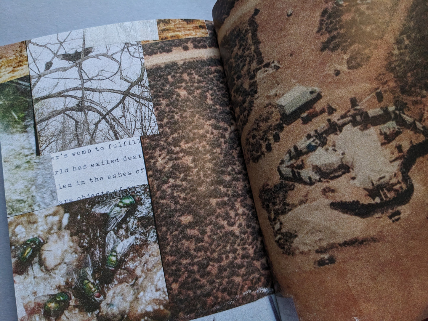 Collage spread from Sacra featuring a blurred aerial photograph of a circular desert settlement on the right, and fragmented images on the left including green flies on decay, bare tree branches, and typed text mentioning death and ashes.