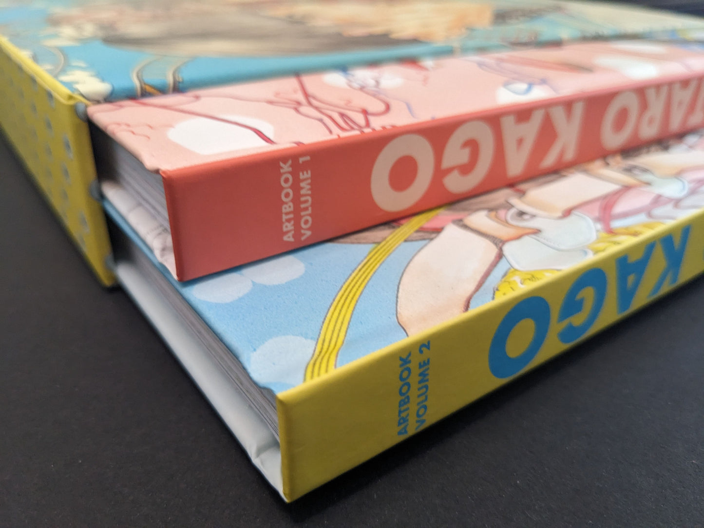 Spine detail of the Shintaro Kago artbook box set hardcovers by The Mansion Press