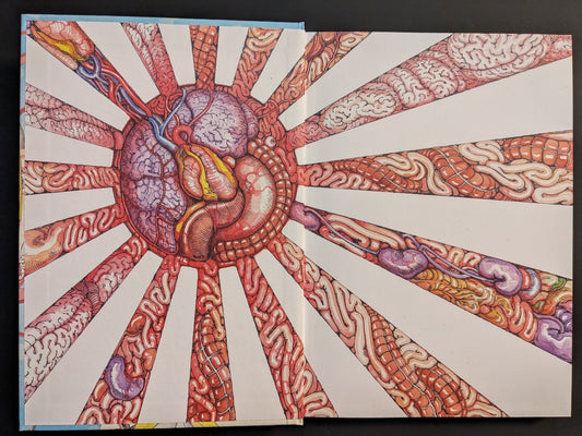 Endpaper spread with a red sunburst formed from organs.